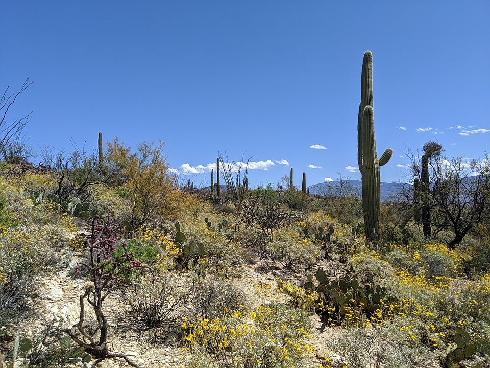1st image of 5360 N Avenida De La Colina #17
