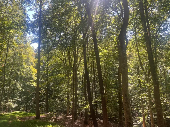 30-31 Ronnie Sexton Rd, Monticello, KY 42633