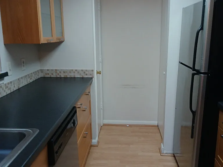10547 Beacon Ridge Dr #301 — Photo 7
