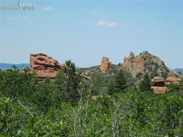 6467 Thunderbird Rd, Larkspur, CO 80118