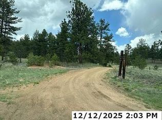 379 Chinook Ln, Florissant, CO 80816