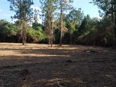 25444 Patterson Rd, Robertsdale, AL, 36567
