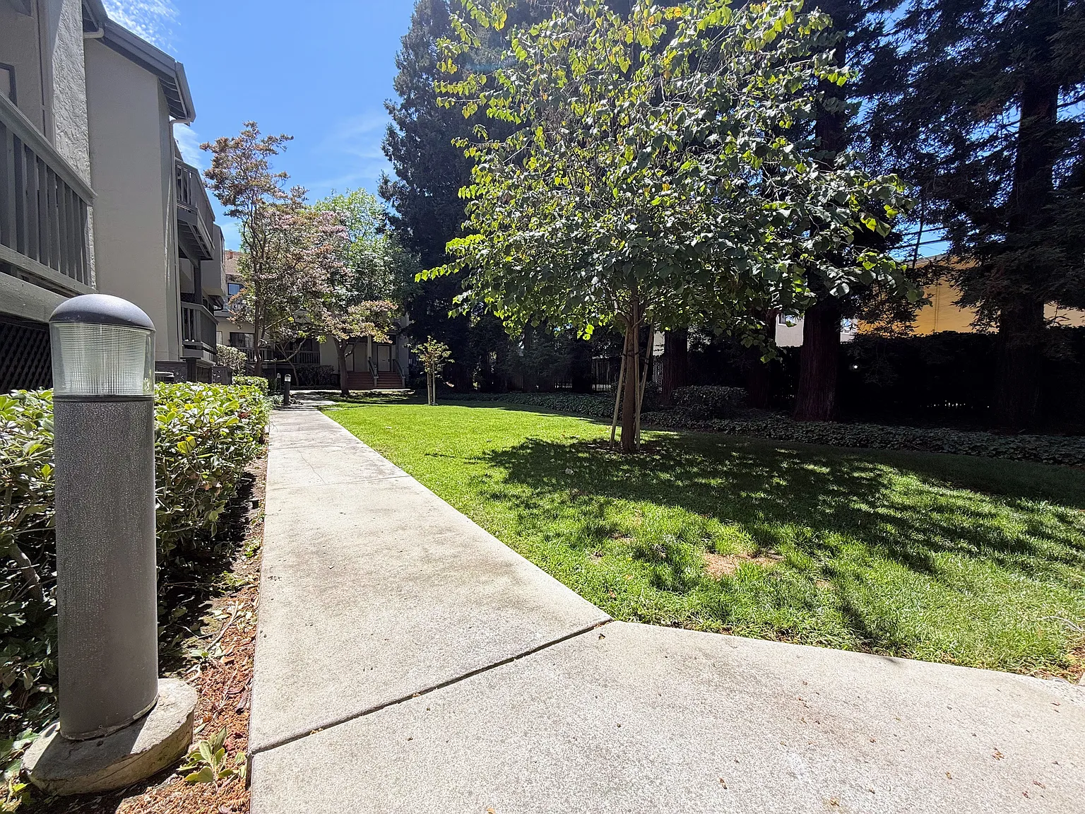 2 bed, 920 sqft, $3,200 — Photo 4