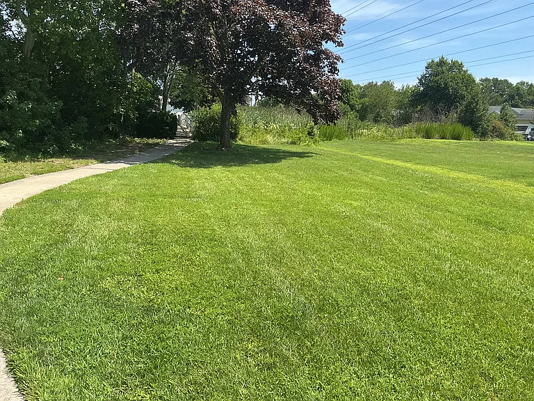 38182 Beachwood Ct #31 — Photo 5