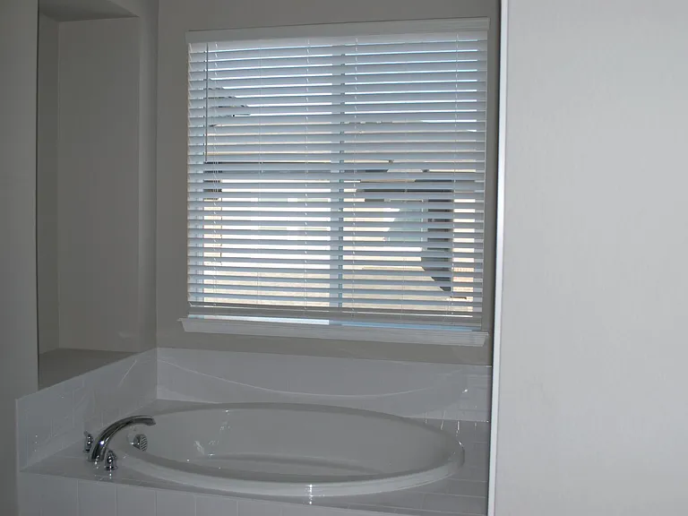 Master bathtub