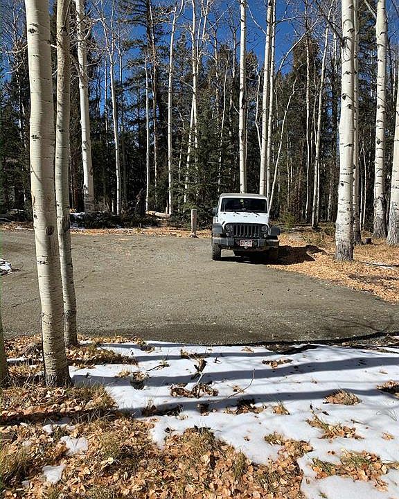 485 Ponderosa Way, Cimarron, CO 81220 MLS 802461 Zillow