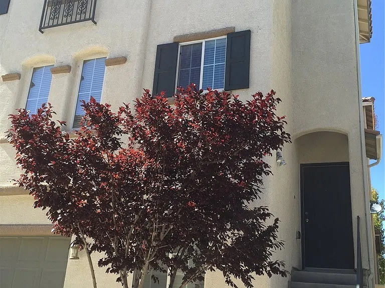 8948 Candice Lee Ct — Photo 2