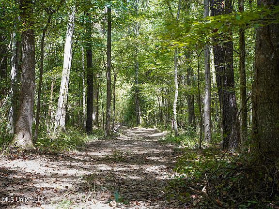 3rd image of McIntyre Rd