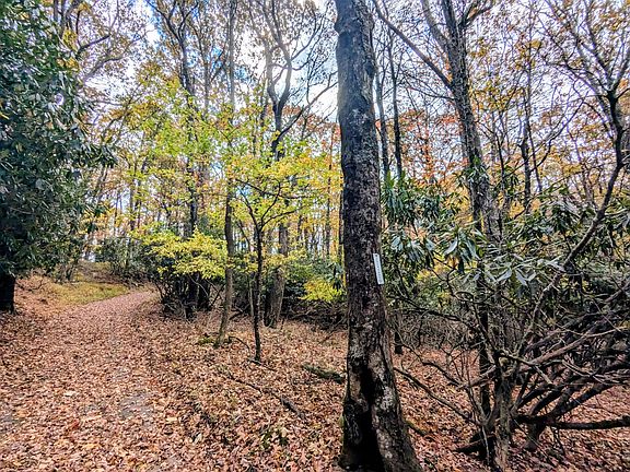 60th image of this home