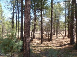 421 S Yarrow Ln, Show Low, AZ 85901