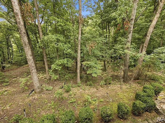 5th image of 19463 Babler Forest Rd