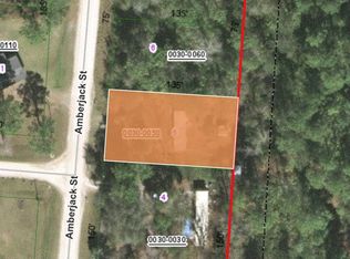 208 Amberjack St, Satsuma, FL 32189