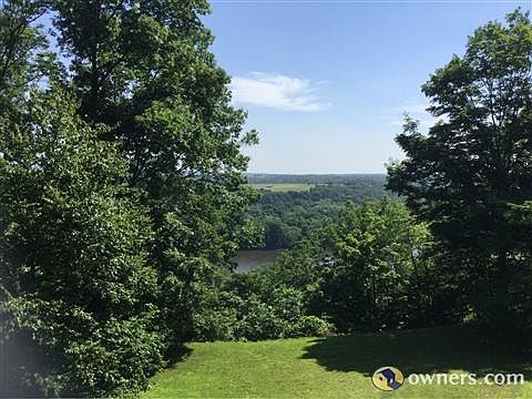 Summer River View