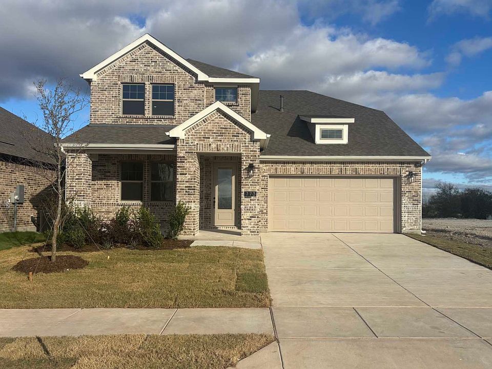 Exterior Design Construction Progress