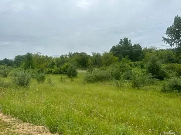Lapeer Rd, Davison, MI 48423