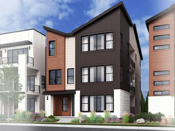 Dynamic Plan, Baseline: Limited Edition