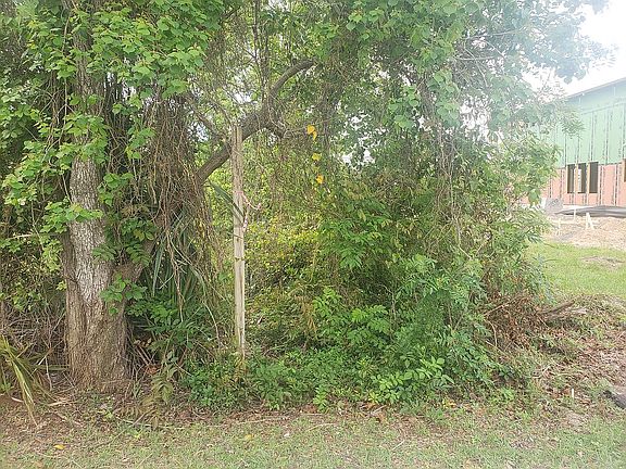 Prior to Clearing