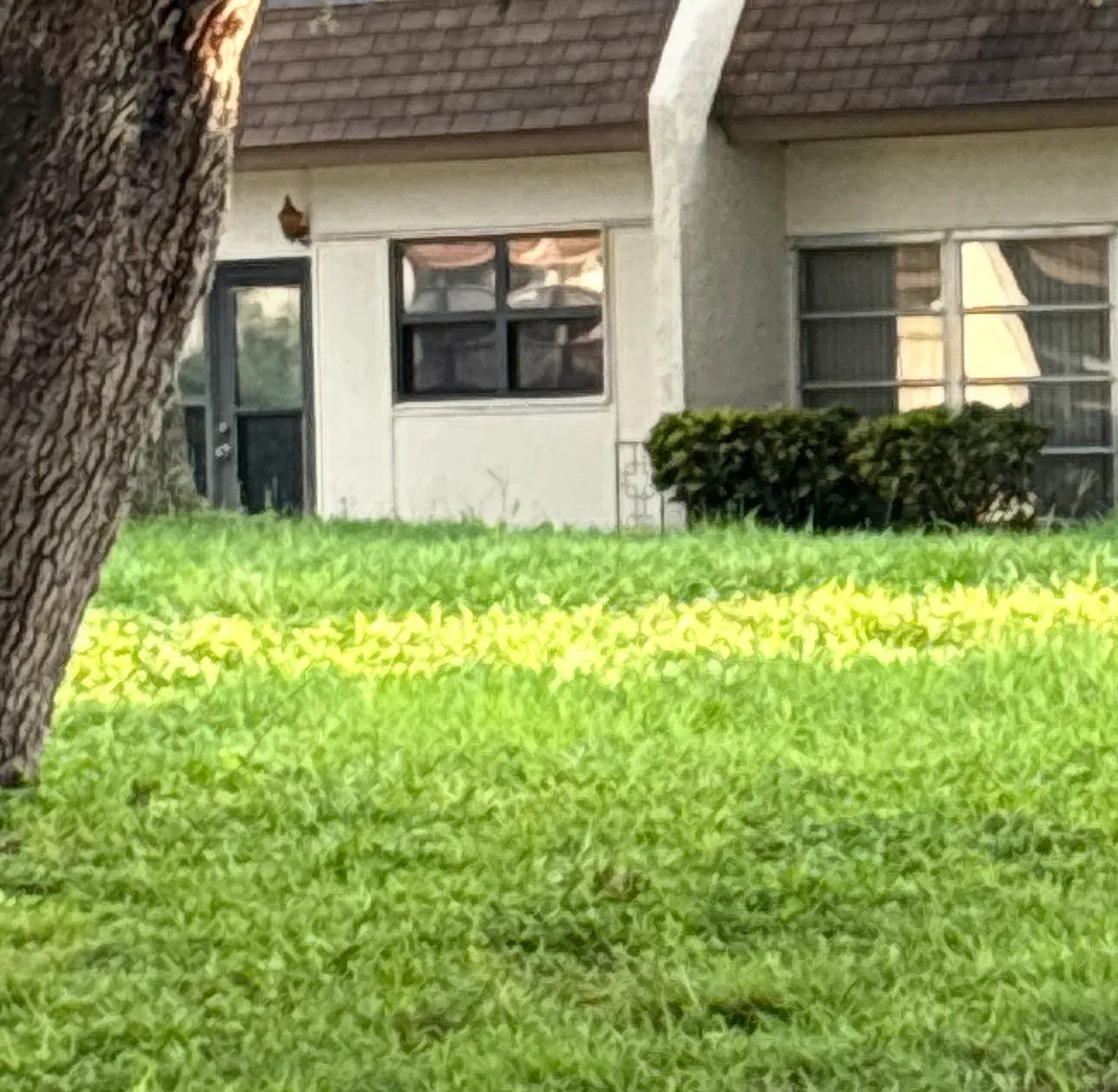 Mission Hills Blvd, Clearwater — Photo 3