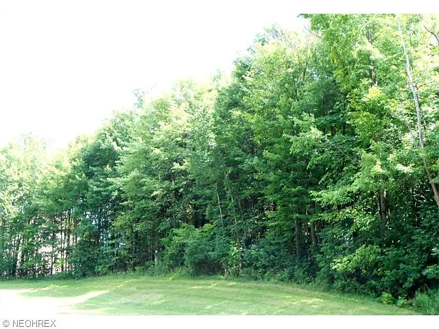 402 Crown Ridge Dr photo 1