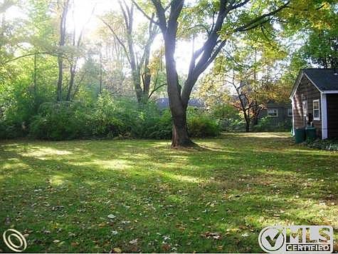 4 - Another View of Backyard.JPG