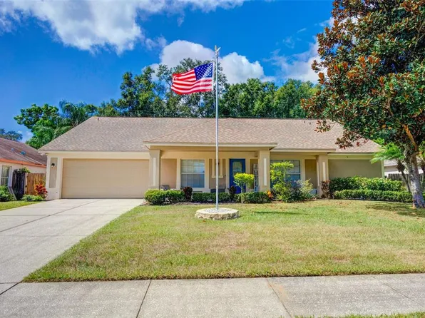 2906 Cloverfield Ln, Valrico, FL 33596