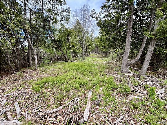 3rd image of LOT 4 Thompson Trail Dr