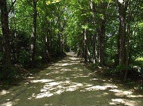 Hale Rd Designated scenic road