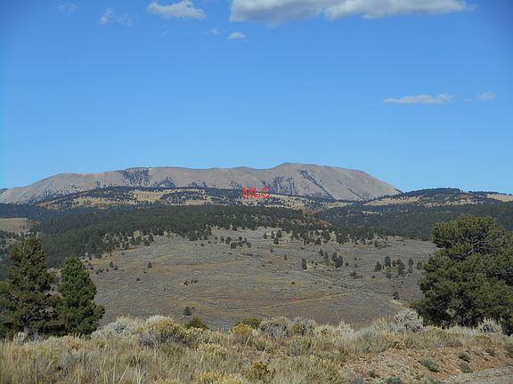 5th image of Macnaughton Dr