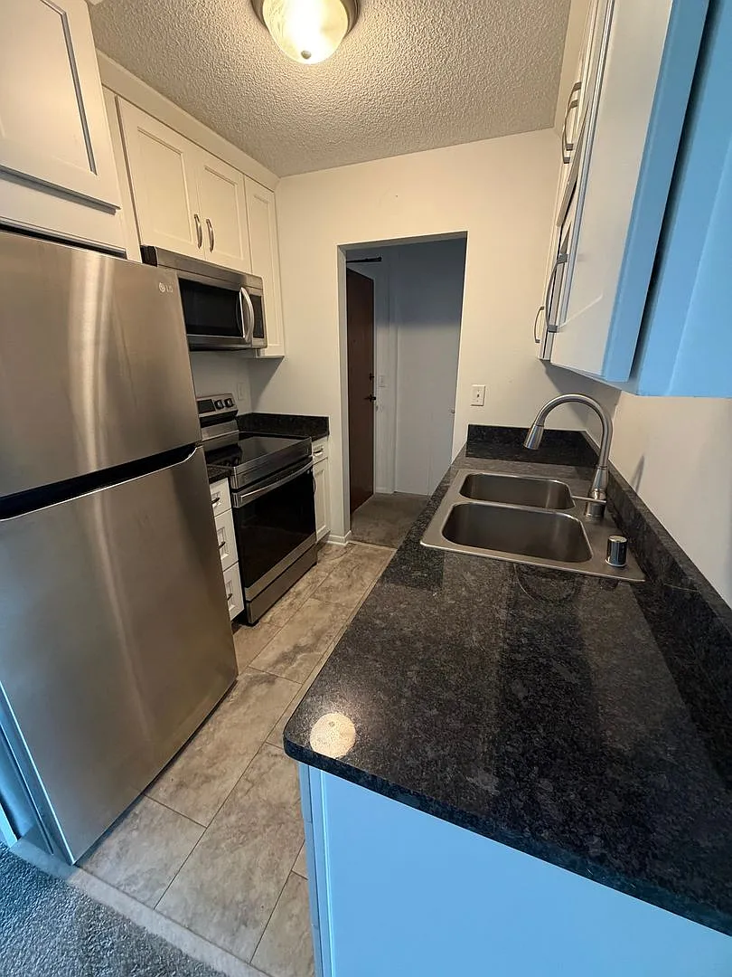 Charming 2BR Condo in Mound — Photo 2