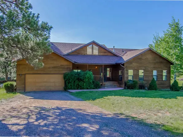 21505 Spring Creek Rd, Buffalo Creek, CO 80425