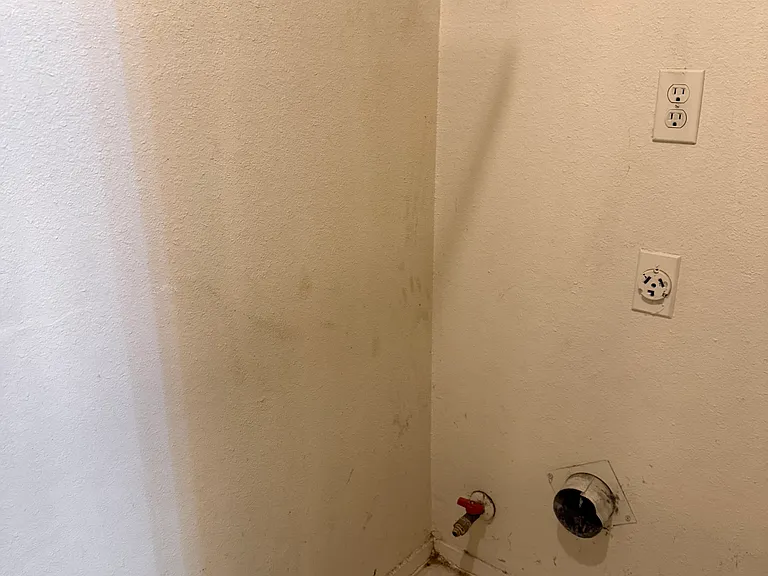Dryer Hook up