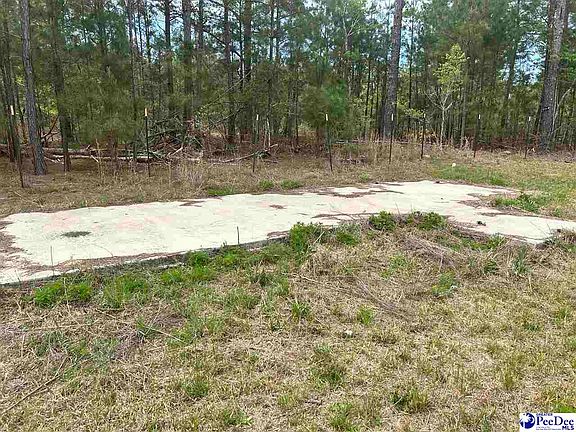 4th image of 2886C Stephens Rd