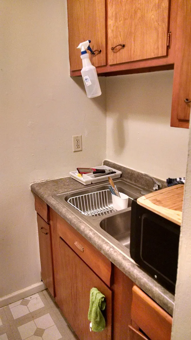 582 Rosanne Ln APT 33 photo 1
