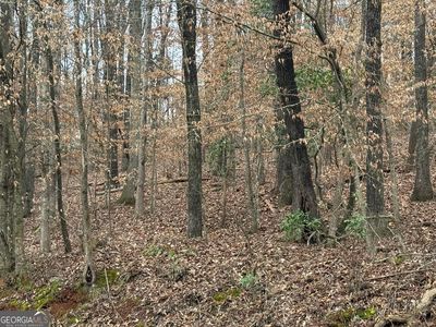 4600 E Reed Rd, Gainesville, GA, 30507