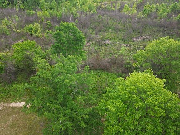 2nd image of LOT 1 0 County Rd #351
