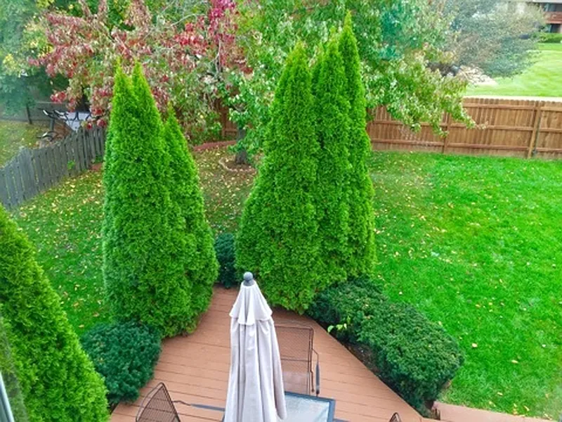 Thumbnail 15