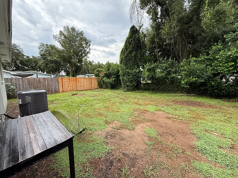 Backyard