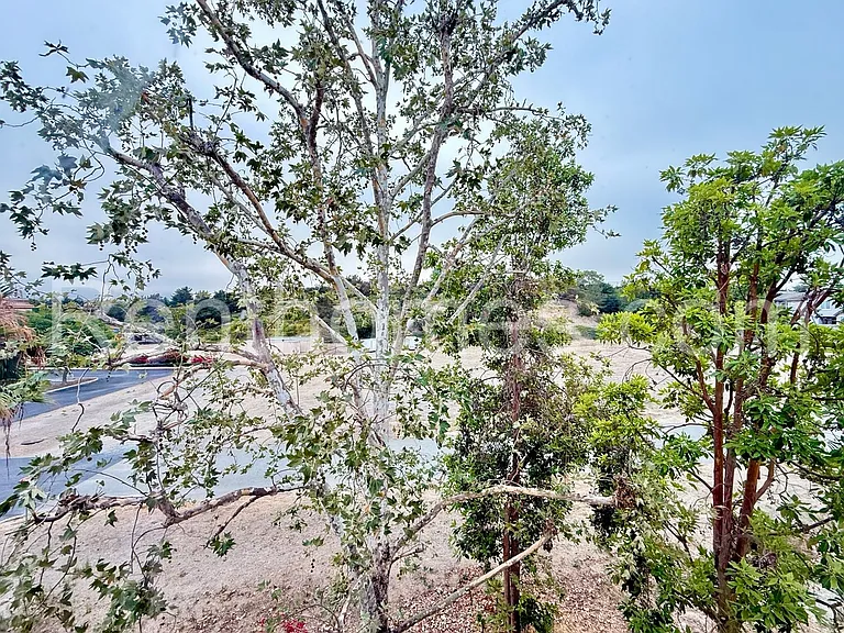 1603 White Hickory Pl — Photo 29