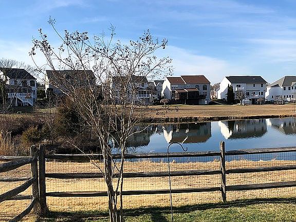 2020 - Fence/Tree/Pond