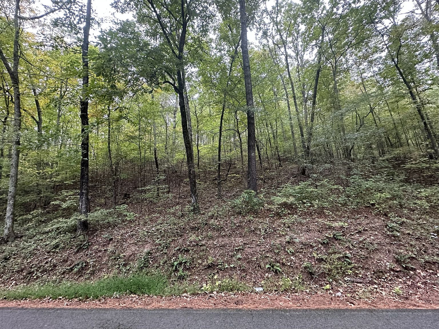 0 Red Bank Creek Rd LOT 2, Lobelville, TN 37097 Zillow
