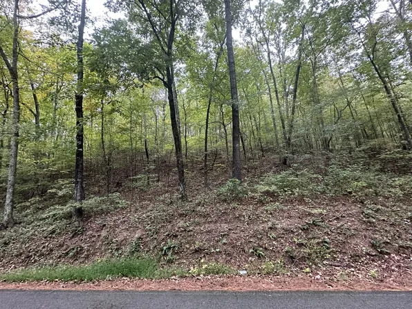 0 Red Bank Creek Rd Lot 2, Lobelville, TN 37097