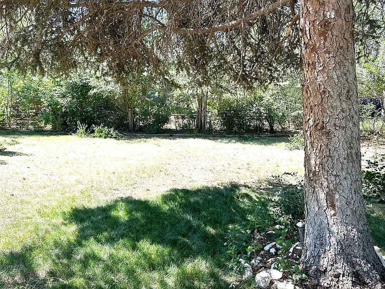 Fenced, shady back yard with mature trees