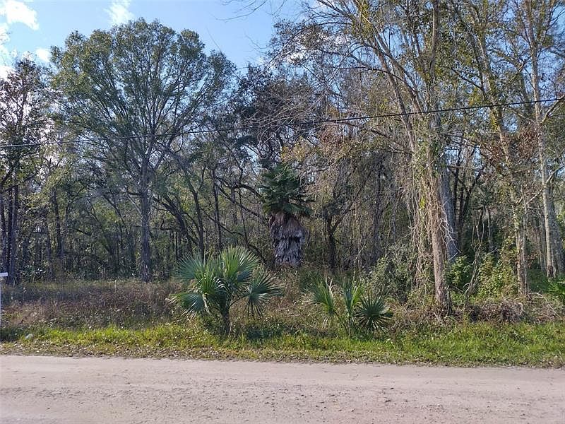 11021 Morena St, New Port Richey, FL 34654 MLS U8186308 Zillow