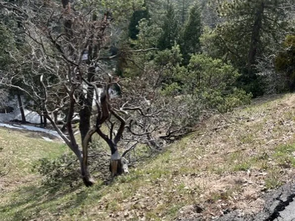 818 Berne #155, Twin Peaks, CA 92391
