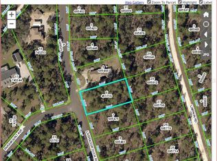 12003 Labrador Duck Rd, Weeki Wachee, FL 34614