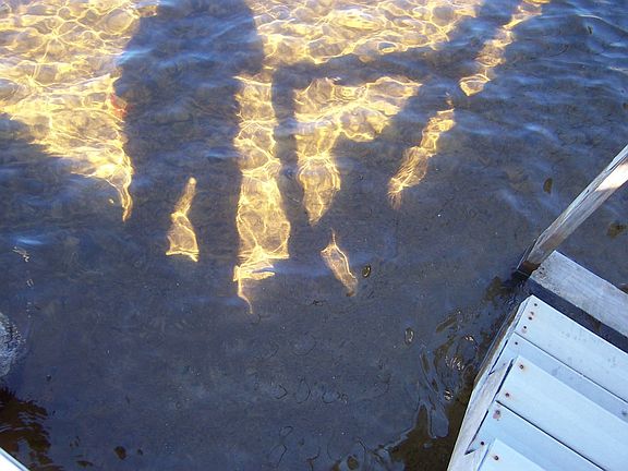 Good Water Clarity Sandy Bot