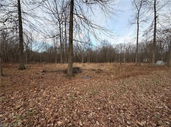 W Nevada Ave, Sebring, OH 44672