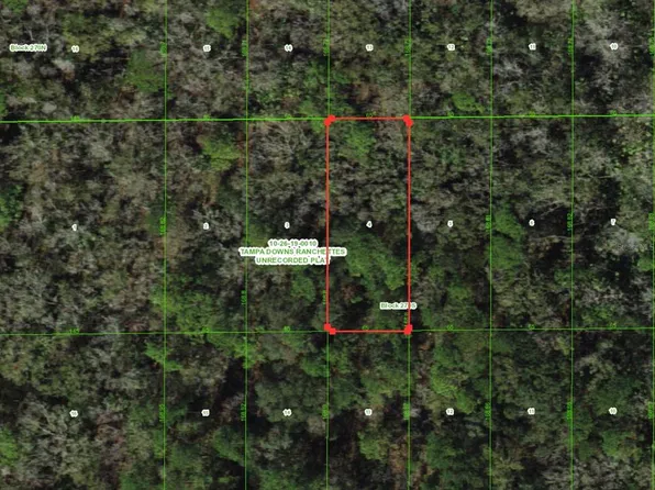 Unassigned Lot 4, Wesley Chapel, FL 33544