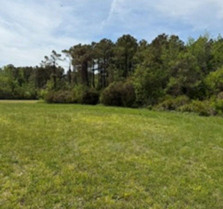 2nd image of 116 Hammock View Ct Lot 12