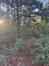 1st image of 107 Lake Point Way
